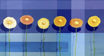 Field of Daisies Rug by Paul Brent