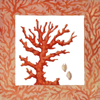 Red Coral Kit by Paul Brent