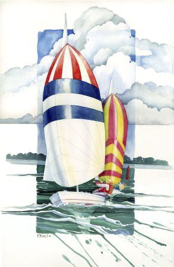 Spinnaker Kit by Paul Brent