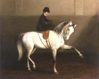 Side Saddle by Alexander Pope