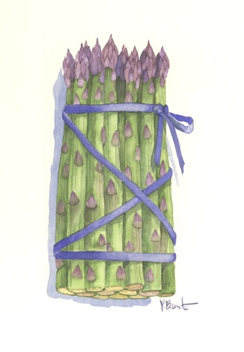 Asparagus Kit by Paul Brent (with wool threads)