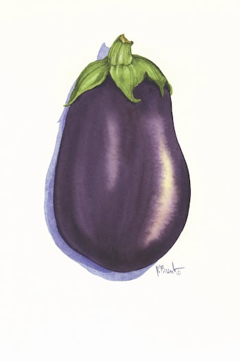 Eggplant Kit by Paul Brent