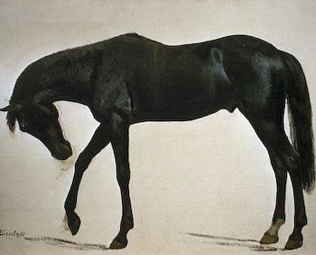 Black Stallion by Bierstadt
