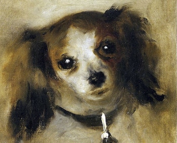 Head of a dog by Renoir