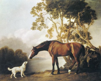 Bay Horse with White Dog Kit (wool threads)