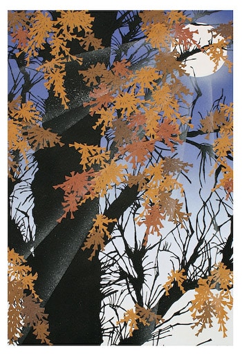 Autumn Rhapsody by Aki Sogabe