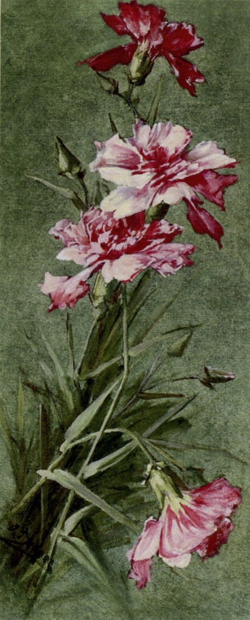 Chyrsanthemums by Otto Bednar Wall Hanging