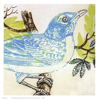 Blue Bird Kit