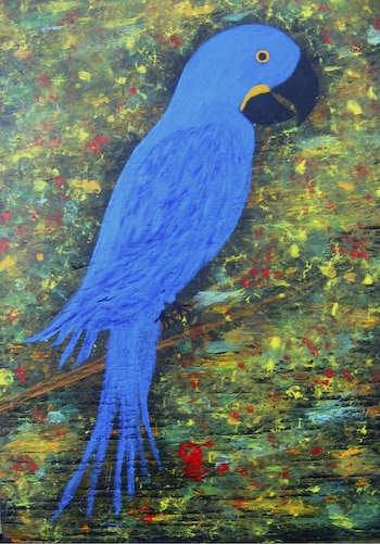 Blue Macaw by Richard Chalmers