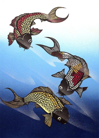Carp Fish by Aki Sogabe