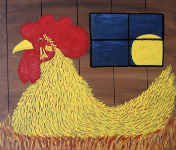 Chicken Laying Eggs by Richard Chalmers