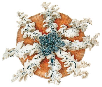 Sea Life Coaster Set
