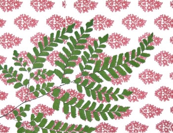 Fern on Indian Print by Barbara Mangini