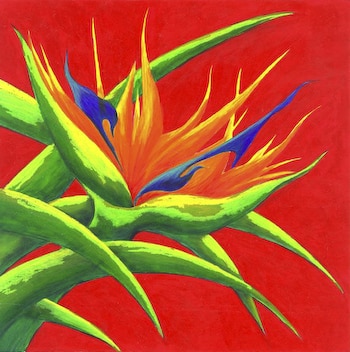 Bird of Paradise by Dawn Wood