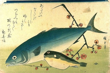 A Shoal of Fish Kit by Hiroshige