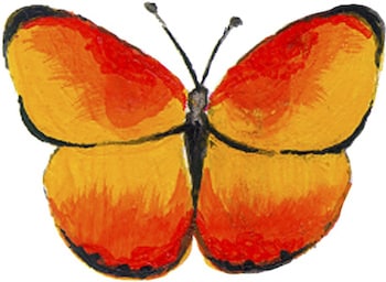 Butterfly Kit (with silk threads)