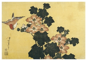 Hibiscus and Sparrow