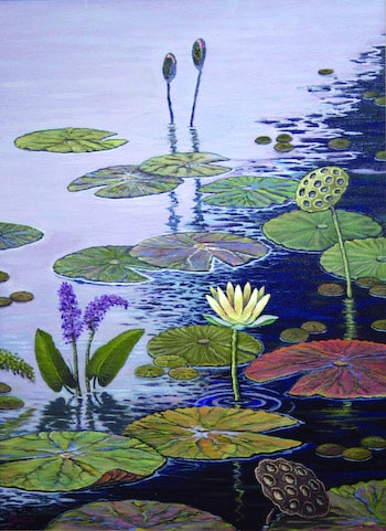 Water Garden with Lotus Small Kit by Jim Stratton