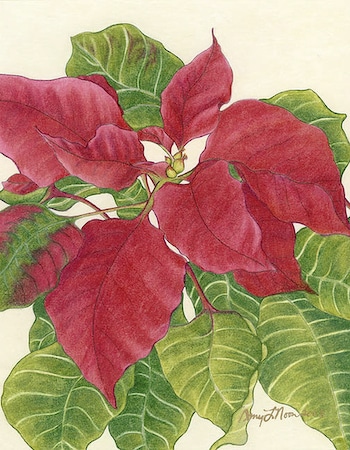 Poinsettia Kit by Amy Noon (wool threads)