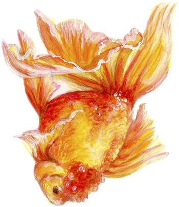 Goldfish (small) by Dawn Wood