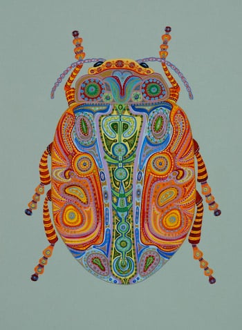 Colorful Beetle Kindle Cover Kit by Close, Tina