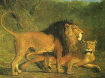 Lion and Lioness by Agasse