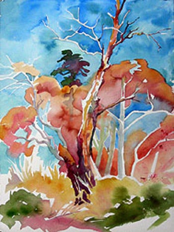 Beach Trees by Bersesa, Dianne