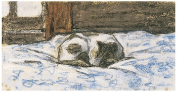 Cat Sleeping on a Bed Kit by Monet