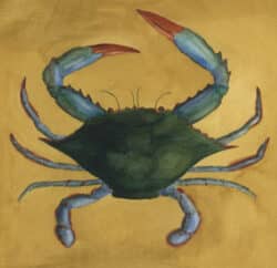 Crab Kit by Judythe Meagher