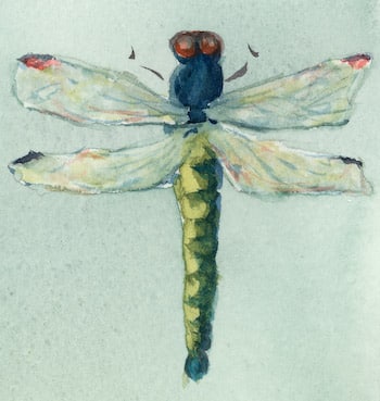 Dragonfly Kit (with wool threads)