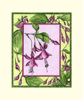 Fuchsia by Amy Noon