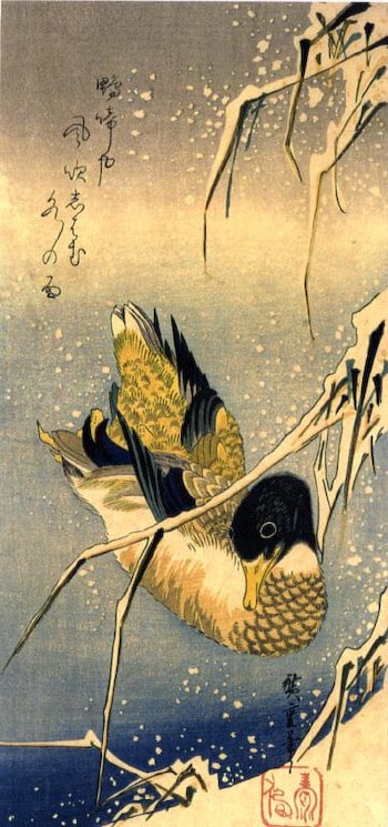 Duck Kit by Hiroshige