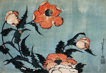 Poppy Flower Kit by Hokusai