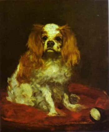 Cavalier King Charles by Manet
