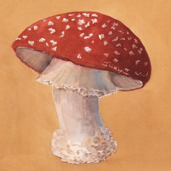 Mushroom Trivet Set