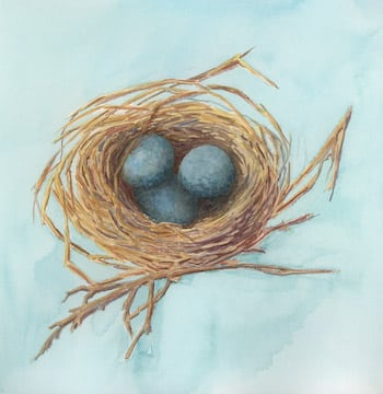 Painted Nest by Judythe Meagher