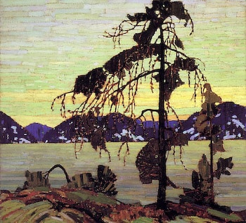 Jack Pine Kit by Thomson, Tom