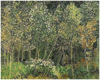 The Grove by Van Gogh