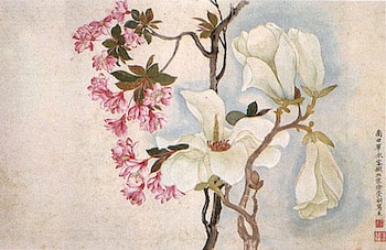 Delicate Flowers from Qing Master