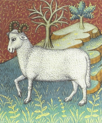 Aries