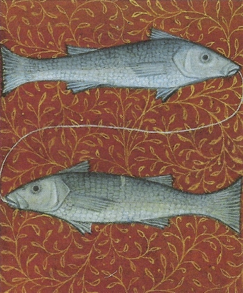 Pisces