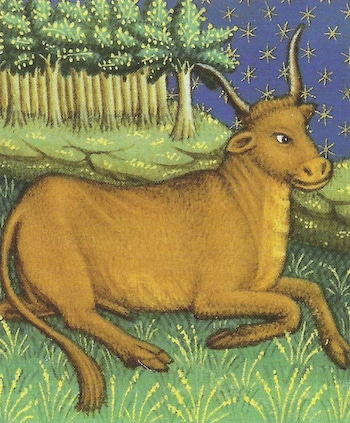 Taurus