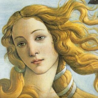 Venus Medium Needlepoint Kit by Sandro Botticelli