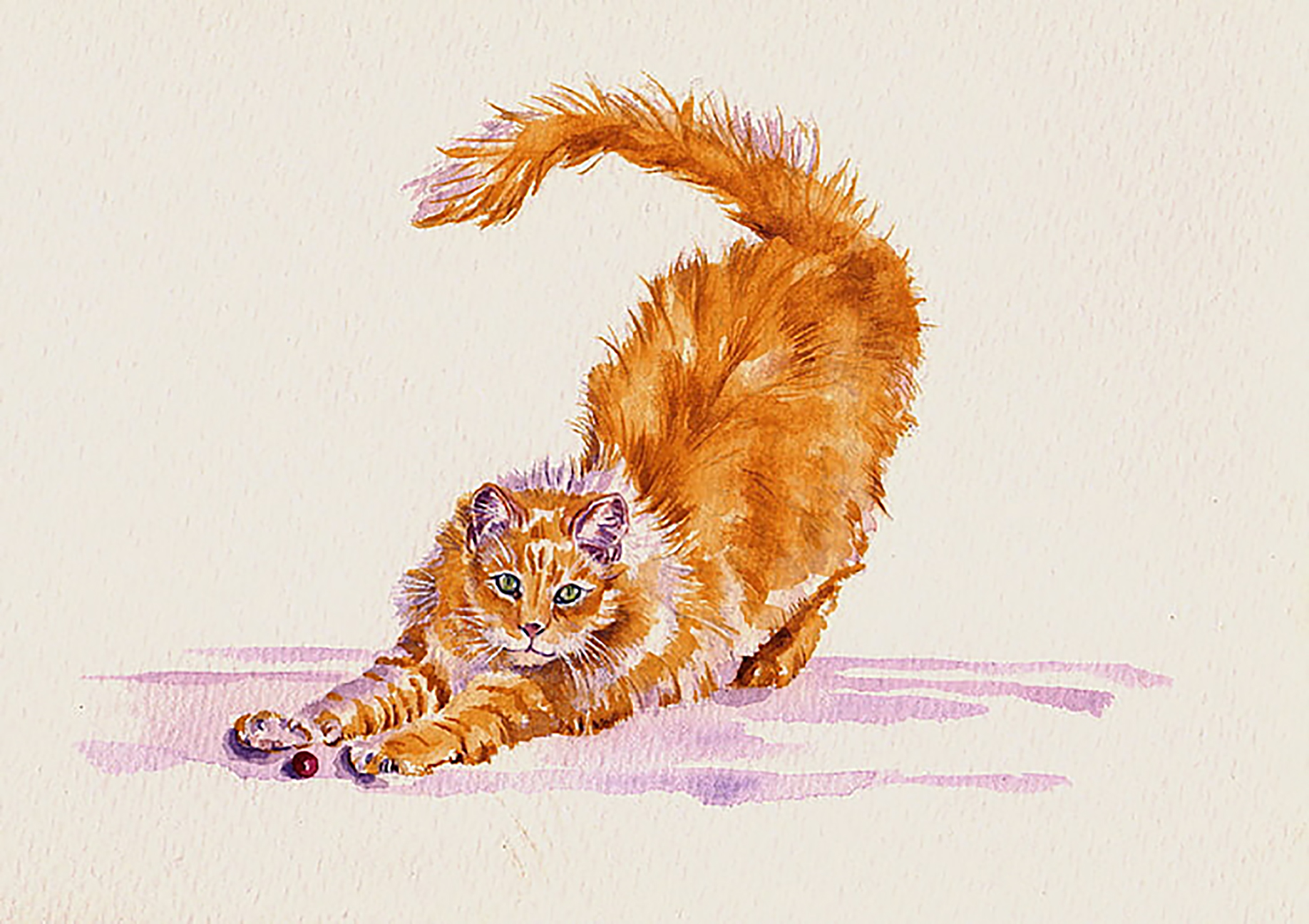 Maine Coon Cat The Art Needlepoint Company
