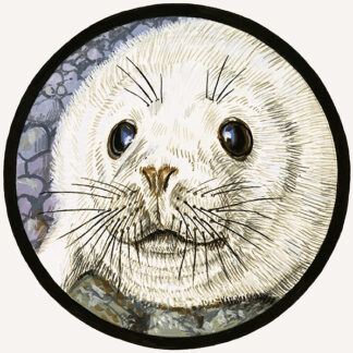 Our Seafriend the Seal Needlepoint Canvas For The Beginner by John Rignall