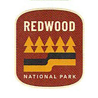 Redwood Park Needlepoint Kit for Charity
