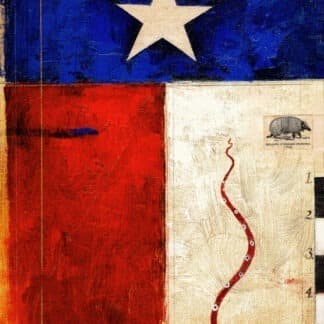 Texas Fever Needlepoint Canvas by Dan Kessler
