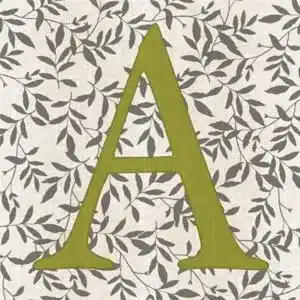 Beginner Needlepoint Kits