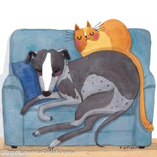 A greyhound-like dog sleeping on a blue couch with an orange cat curled on its back, both with eyes closed in a cozy, peaceful scene.