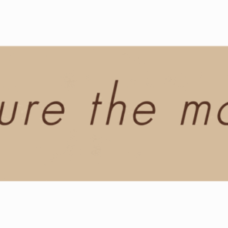 Beige banner displaying the script phrase: "capture the moment" on a tan background, in brown cursive letters as a decorative message.